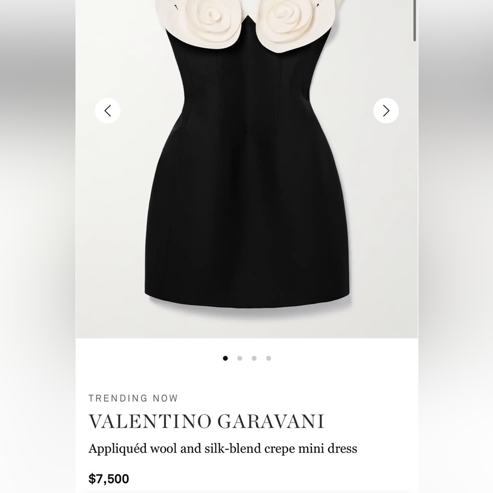 Brand new Never worn Valentino dress